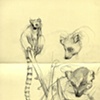 Zoo Sketches 
