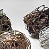 Cocoons, detail