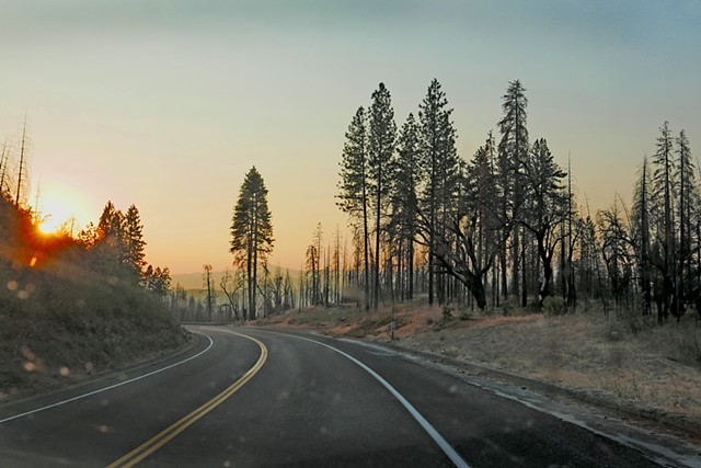 Yosemite Highway Heading West