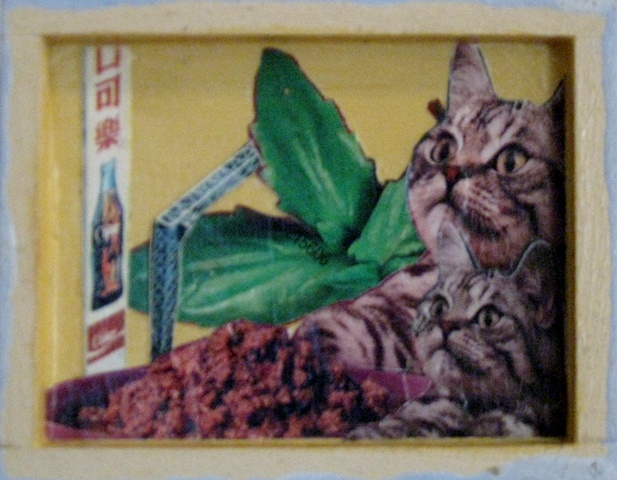 Cat Food and Cola Cola