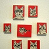 Miniature Tabby Portraits