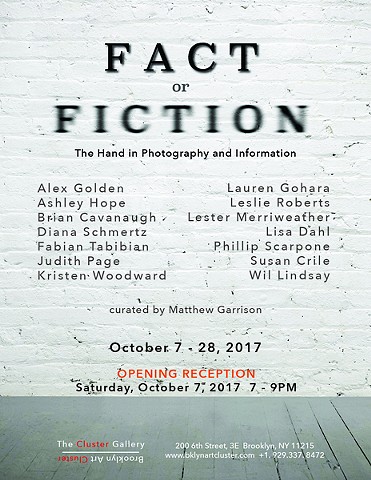 Fact or Fiction, Cluster Gallery, Brooklyn, NY, 2017