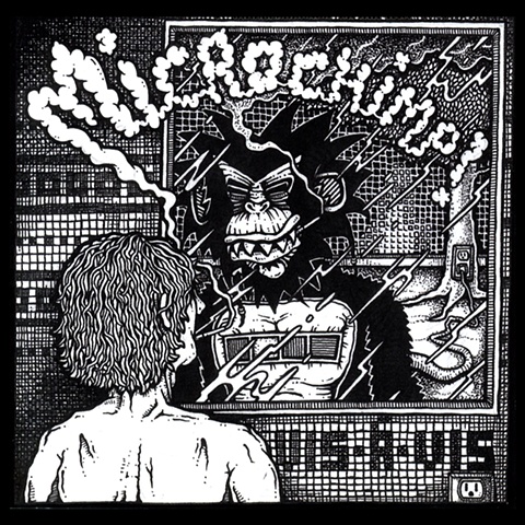 Microchimp "Vis a Vis"

Album Cover