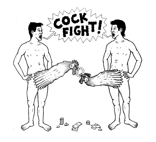 Cock Fight!