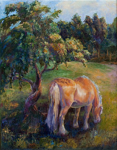 Fjord horse in an orchard