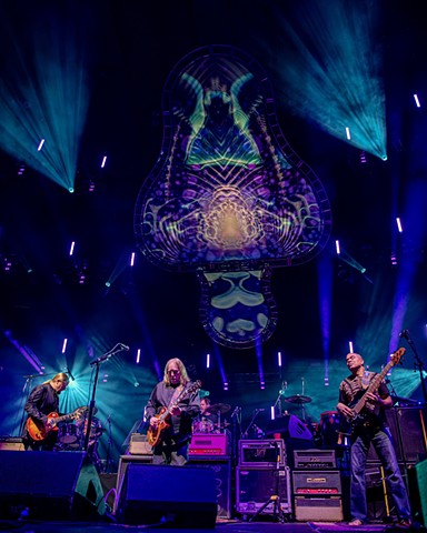 Photo by Andrew Blackstein