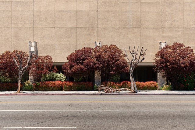 Parking Ramp Topiary, Ventura Boulevard, Studio City