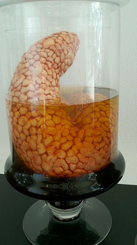 Pancreas in Jar