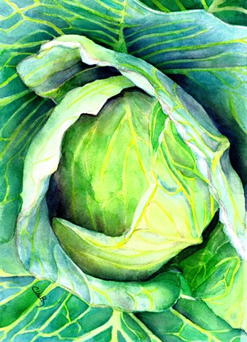 Cabbage

by Clair Breetz