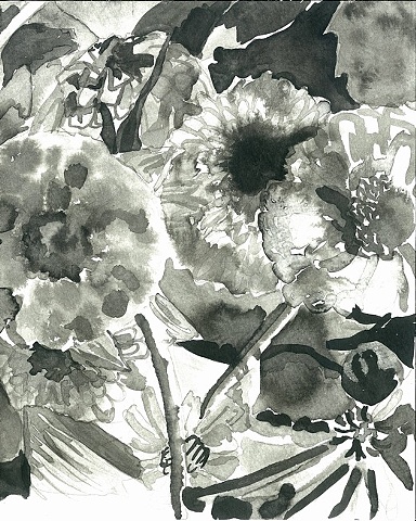 Zinnia in black and white