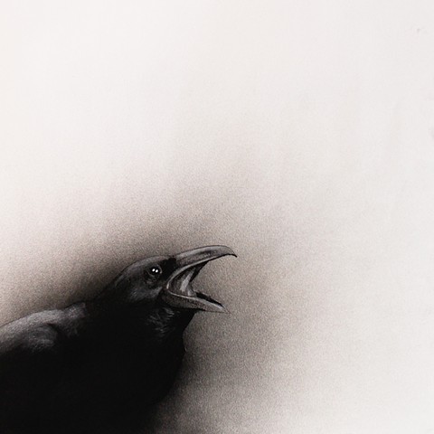 Crow Study I (detail)