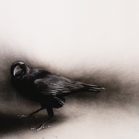 Crow Study II (detail)
