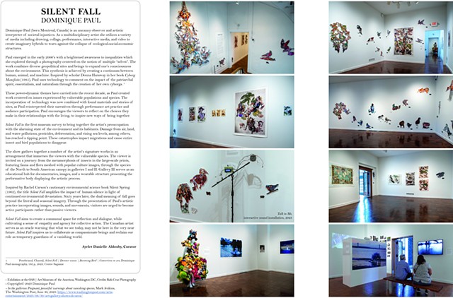 silent Fall, art Museum, biodiversity, performance, collage