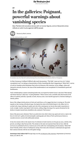 Silent Fall solo exhibition, Art Museum of the Americas, April 20 - July 20, 2023    