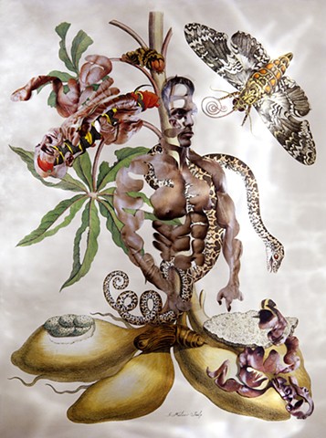 Dominique Paul, Merian, Insects of Suriname, photography, Insects of Suriname, Maria Sibylla Merian, collage, male body as object, biotech, genetic engineering