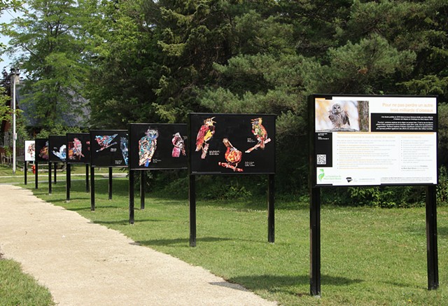 Public art exhibition presenting bird species in decline in the area (first panels) as well as in Canada and America. In collaboration with the Fondation de conservation du Mont-Saint-Bruno.