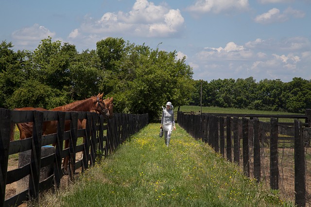 air quality, Louisville, horses, health, silver lining stables, environment, wearable, interactive, socially engaged art, performance