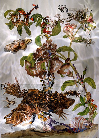 Merian, collage, dominique paul, male body, muscles, collage, contemporary art
