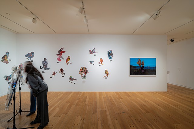 Entre oiseaux | Among Birds
