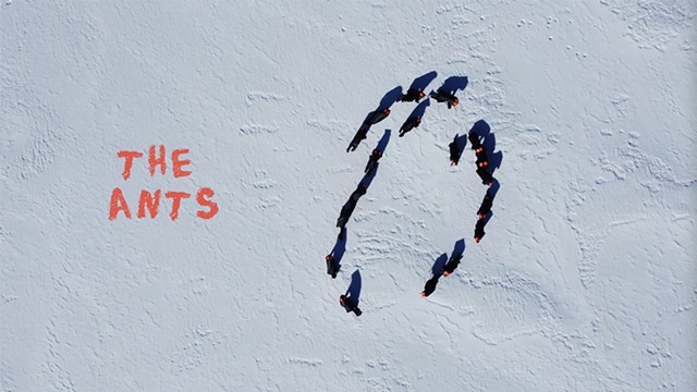 The Ants | Les fourmis, trailer