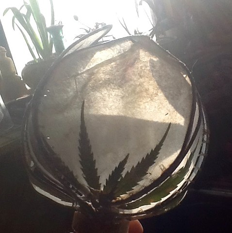 Pressed leaf, weed leaf, night light, marijuana ,paper light sculpture