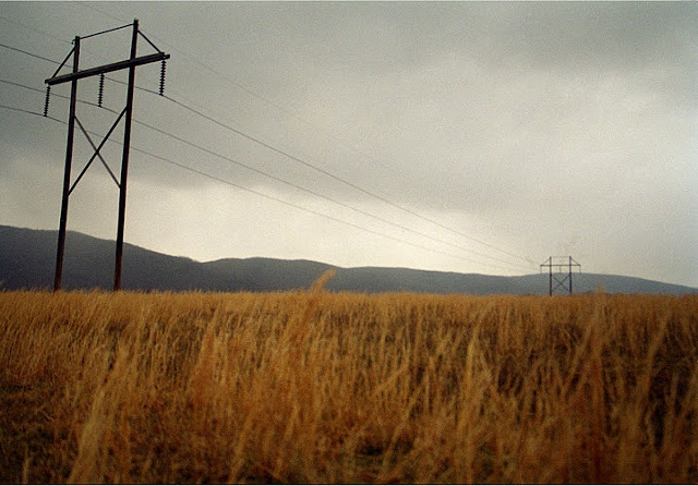 Powerlines #1