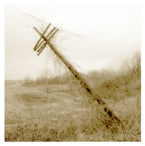 Telephone Pole