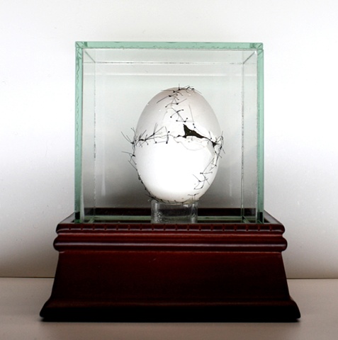 Mixed media--eggshell with sutures in glass box
