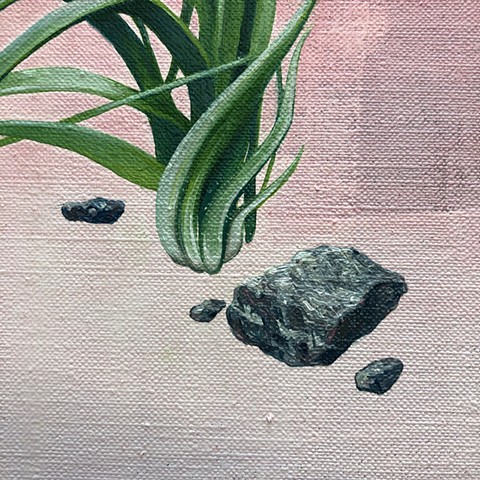 Rock (Detail 2)