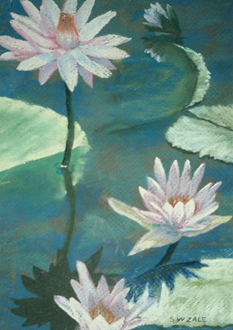 Three Pink  Waterlilies - close-up - with Reflections.  Main colors blues & greens.