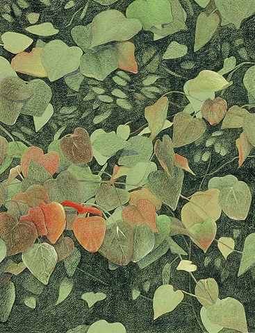 Colored pencil drawing from nature, on green Canson paper. leaves