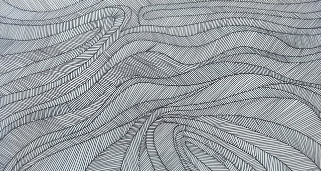 Textural study of lines within contour lines.  Black ink,