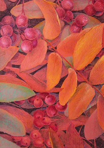 Drawing of autumn honey locust leaves and seeds on forest floor - Colored pencils on red Canson paper.