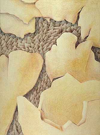 Abstract layers, browns, yellows, colored pencil  Prismacolor abstract drawing. 