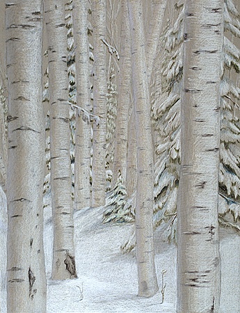 nature  trees  winterscene  Prismacolor drawing of a Michigan birch woods on gray Canson paper