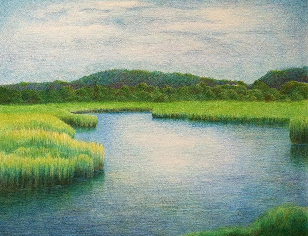 Landscape view of river and reeds with trees in the distance drawn on white bristol paper.