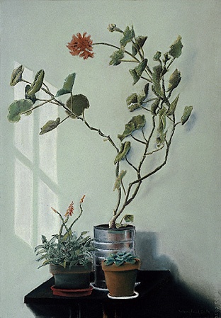 flower, room interior,  Pastel still life of plants with light reflection on colored Canson paper