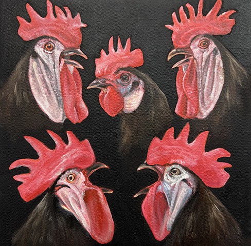cocksplain