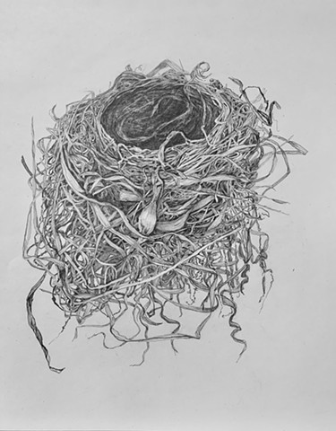 Behind Downspout  (top)