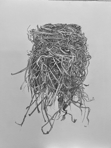 Stone House On Chestnut Over Shutter 2 