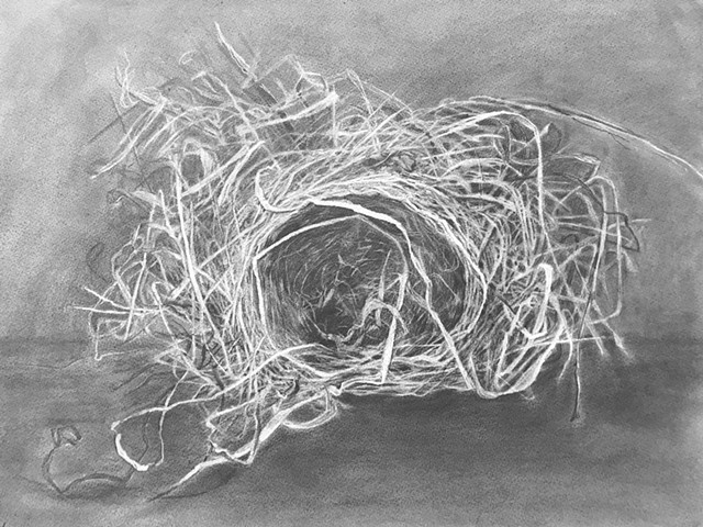 Ash near Picnic Table