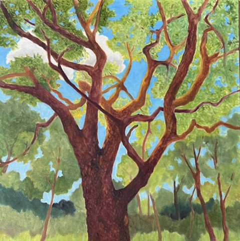 Between Heaven and Earth