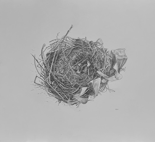 Small Mulberry Next to Barn (top)