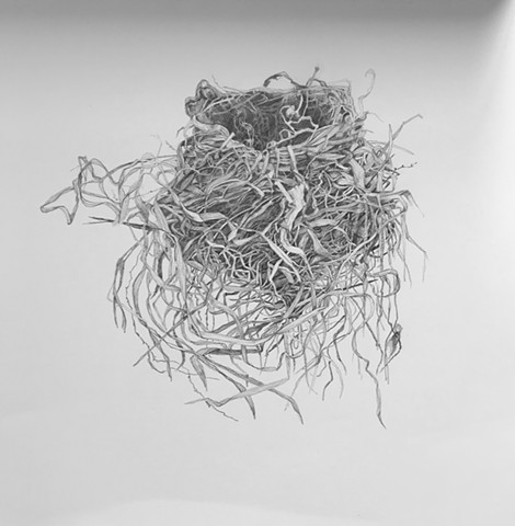 Behind the Downspout 