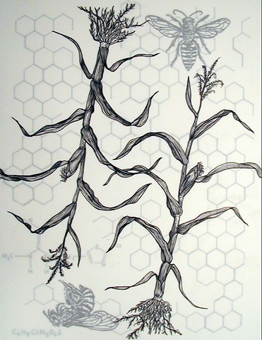 botanical, pollen, Laurie Rousseau, bio engineering