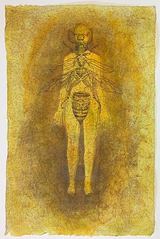 Figure, monotype, bee anatomy, drawing