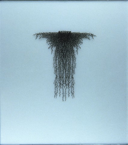botanical, root, Laurie Rousseau
