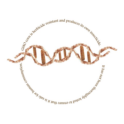 DNA Corn Plate