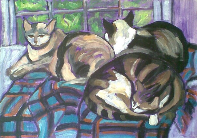Cats on Plaid Blanket