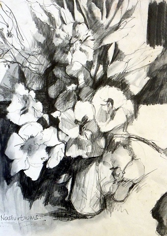 Flowers - Paintings and Drawings